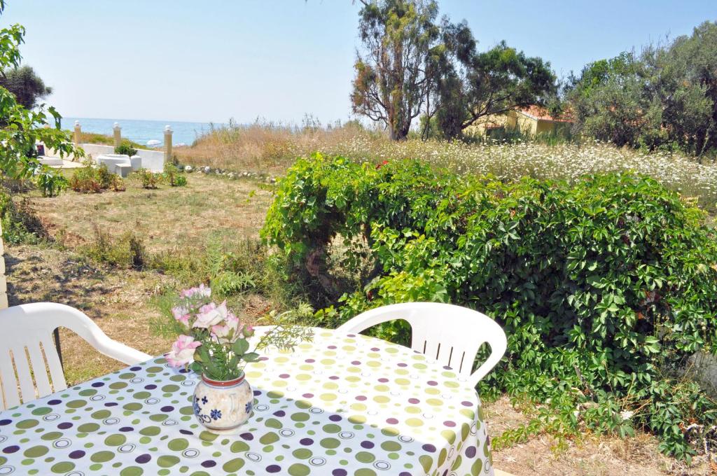 Táj Show holiday homes közelében