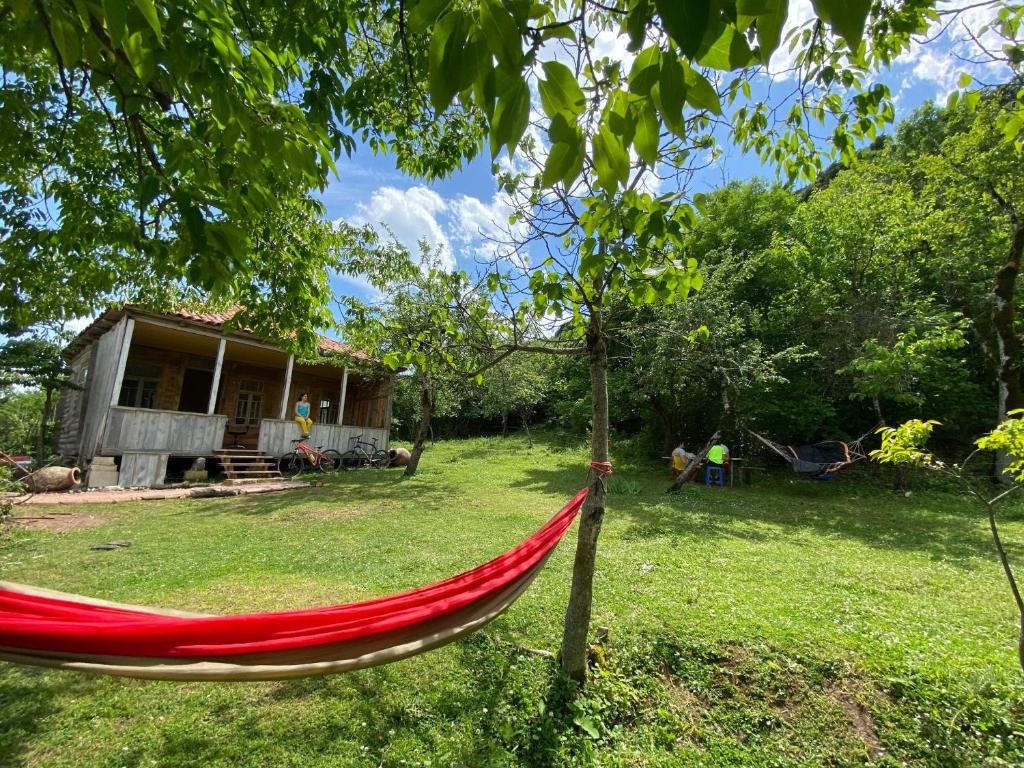 Zahrada ubytování Sveri Adventure Camp