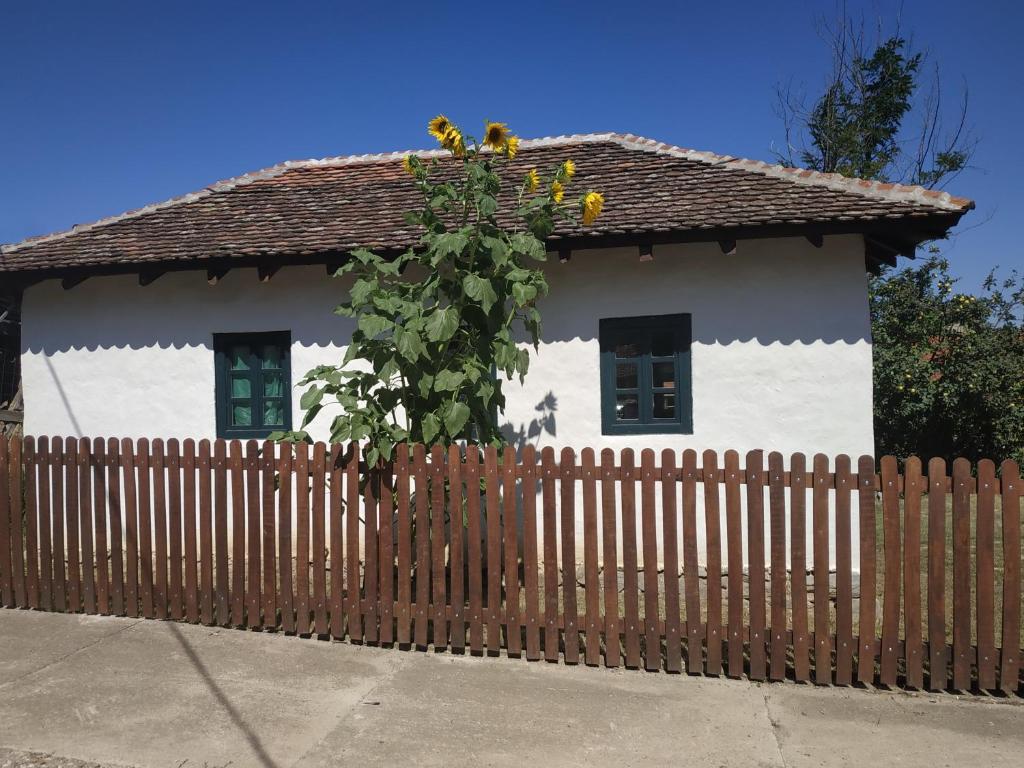 a small white house with a wooden fence at STARA KOVAČNICA in Golubac