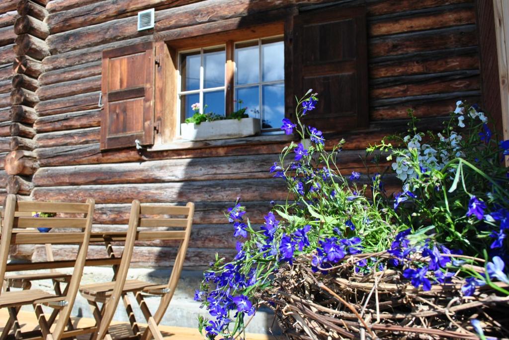 uma casa de madeira com duas cadeiras e flores em frente em Hof Surri 