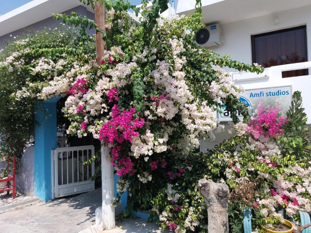 een boom bedekt met bloemen voor een gebouw bij Amfi Apartments in Kardamaina