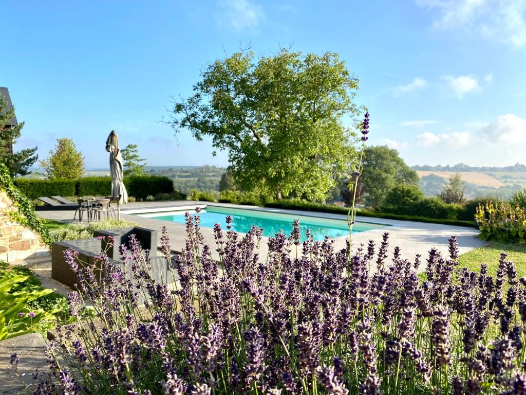 einen Garten mit lila Blumen vor einem Pool in der Unterkunft LE REFUGE D'ELI - La Maison in Vitrival