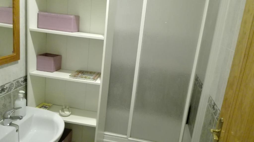 リンコン・デ・ラ・ビクトリアにあるLa Casita de Nuriaのバスルーム(シャワー、シンク付)