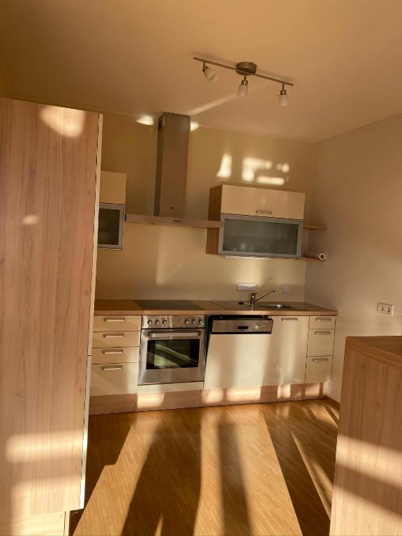 Kuchyň nebo kuchyňský kout v ubytování VIII Panorama-Ferienwohnung Petzenblick