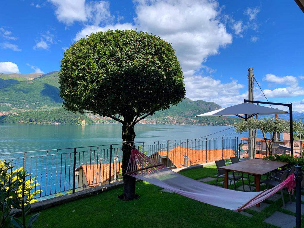 レッツェノにあるResidence Molinari Lake Comoの湖の景色を望む木とハンモック
