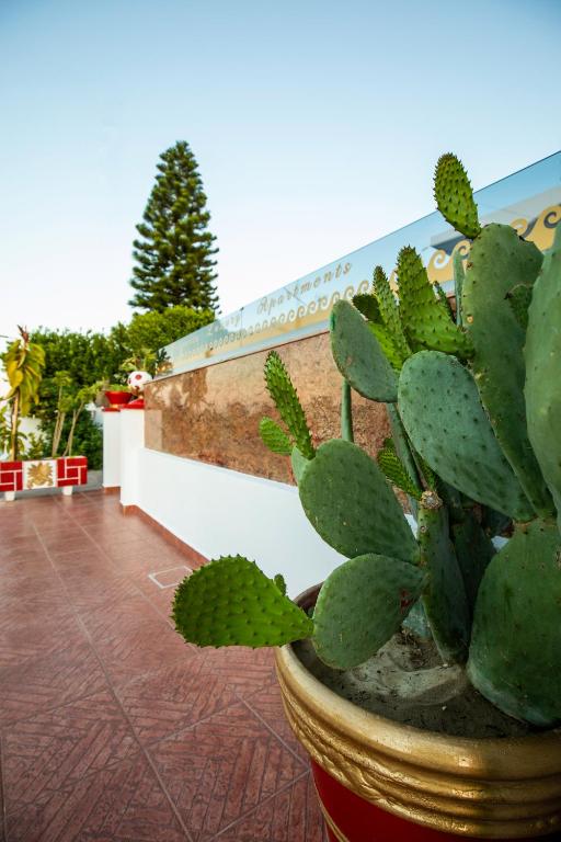 Margarita luxury apartment 2, Faliraki (updated prices 2026)