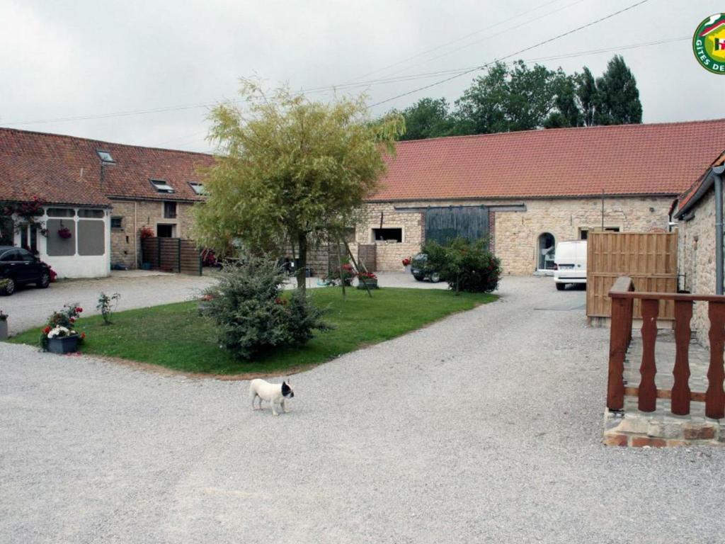 a black and white cat standing in a driveway at Gîte Beuvrequen, 4 pièces, 6 personnes - FR-1-376-24 in Beuvrequen