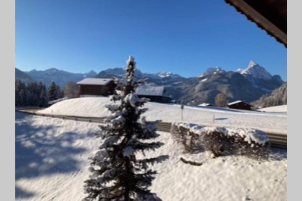 a christmas tree in the snow next to a building at Chalet Soldanella 10 guests Gstaad in Gstaad