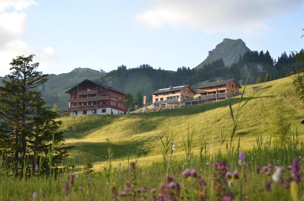um grupo de casas numa colina verde com flores em Ländle Hotel em Damüls