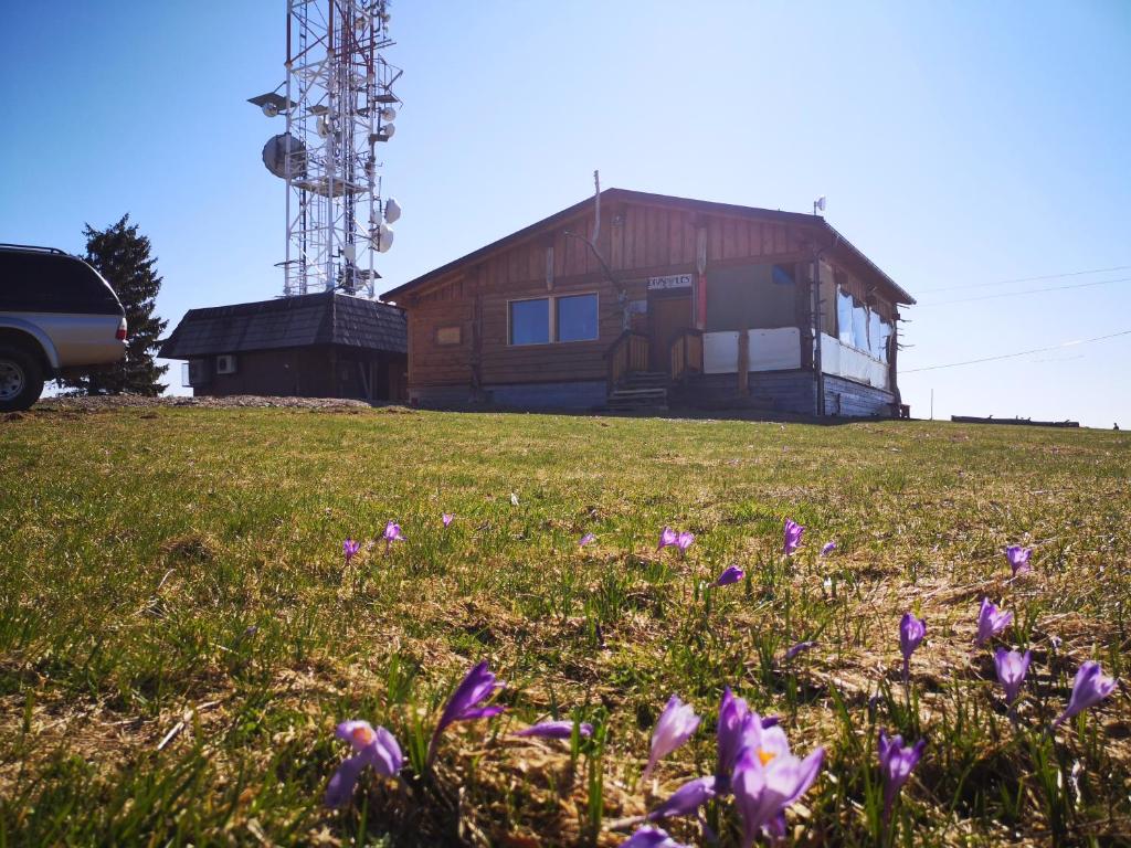 Zahrada ubytování Hotel Sachticka