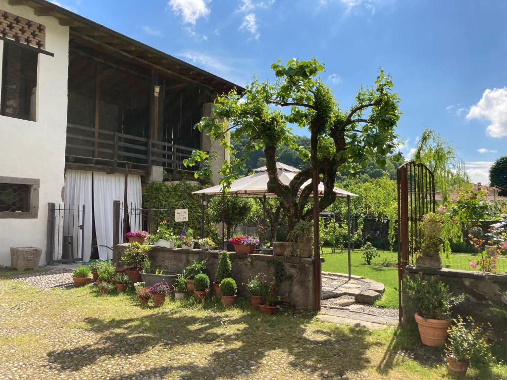 Zahrada ubytování B&B Corte Seguini