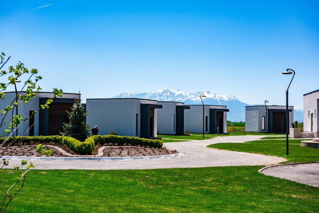 Une rangée de maisons avec des montagnes en arrière-plan dans l'établissement Serenity Resort, à Codlea