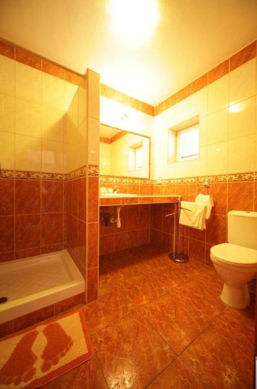 Penzion Tara - One-Bedroom Apartment