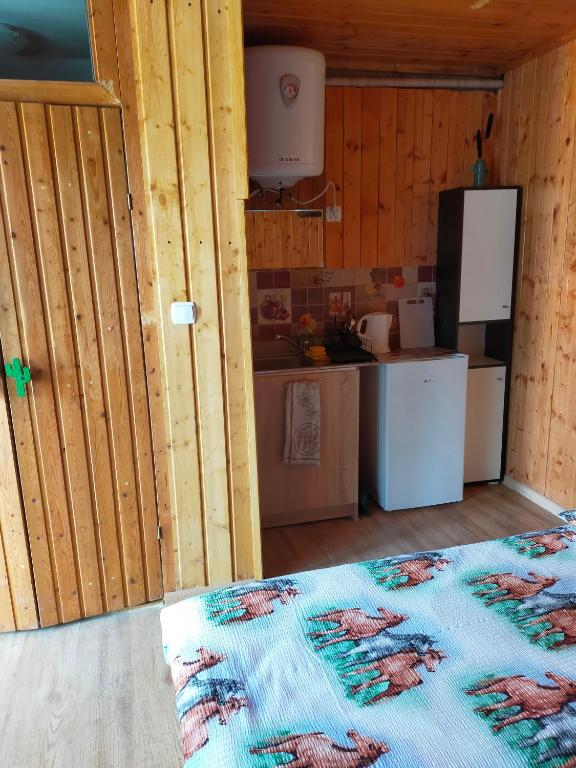 Kuchyň nebo kuchyňský kout v ubytování Iza-pokoje do wynajecia