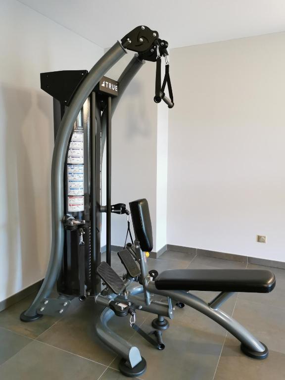 Fitness centrum a/nebo fitness zařízení v ubytování Hotel Port Toga