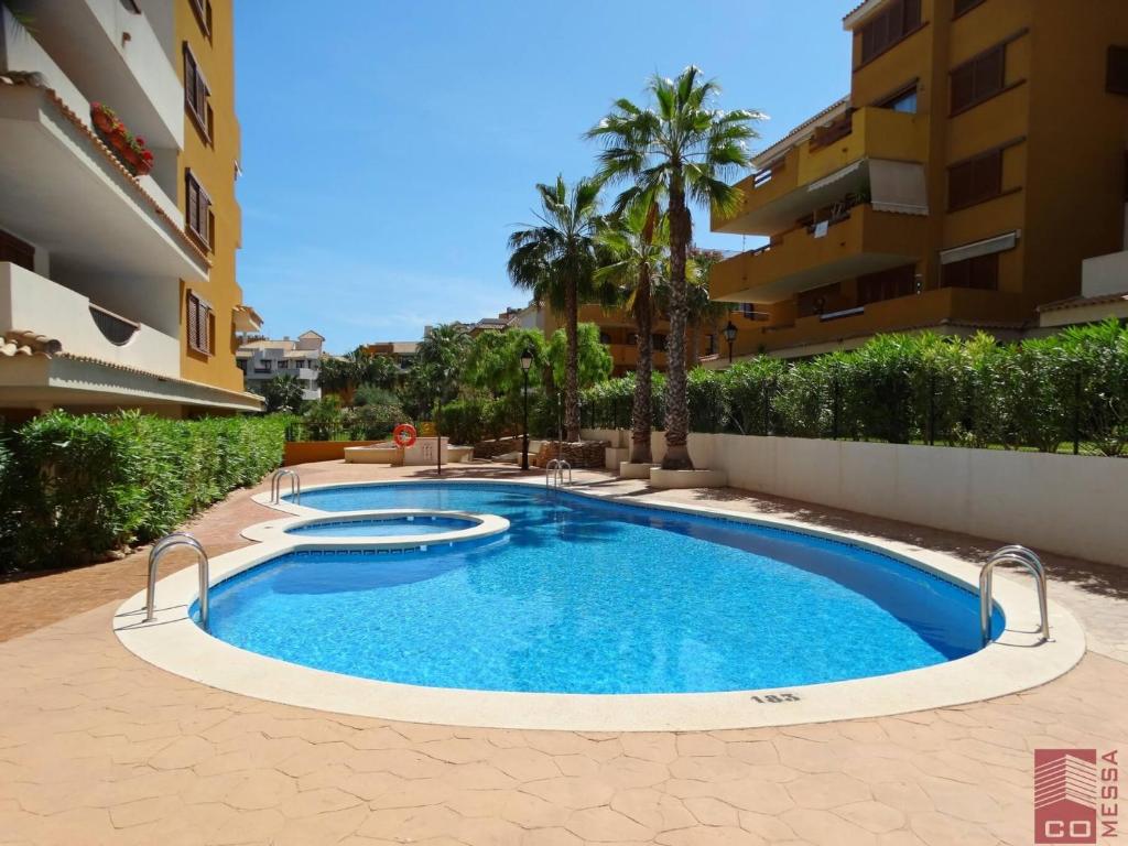 Bazén v ubytovaní Apartamento Eleonor, La Entrada, Punta Prima, Torrevieja alebo v jeho blízkosti
