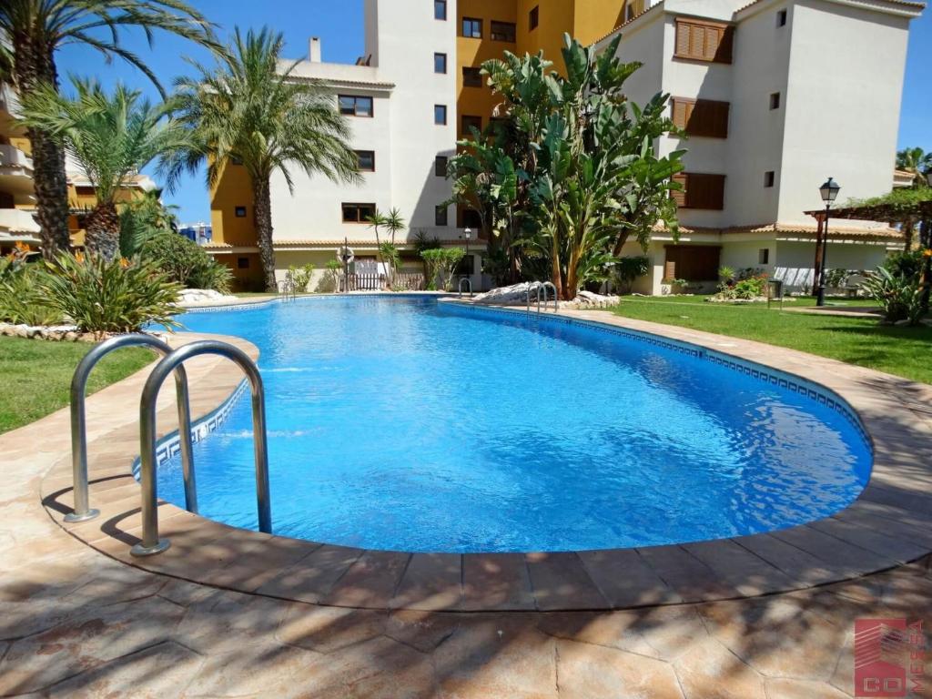 Bazén v ubytovaní Apartamento Eleonor, La Entrada, Punta Prima, Torrevieja alebo v jeho blízkosti