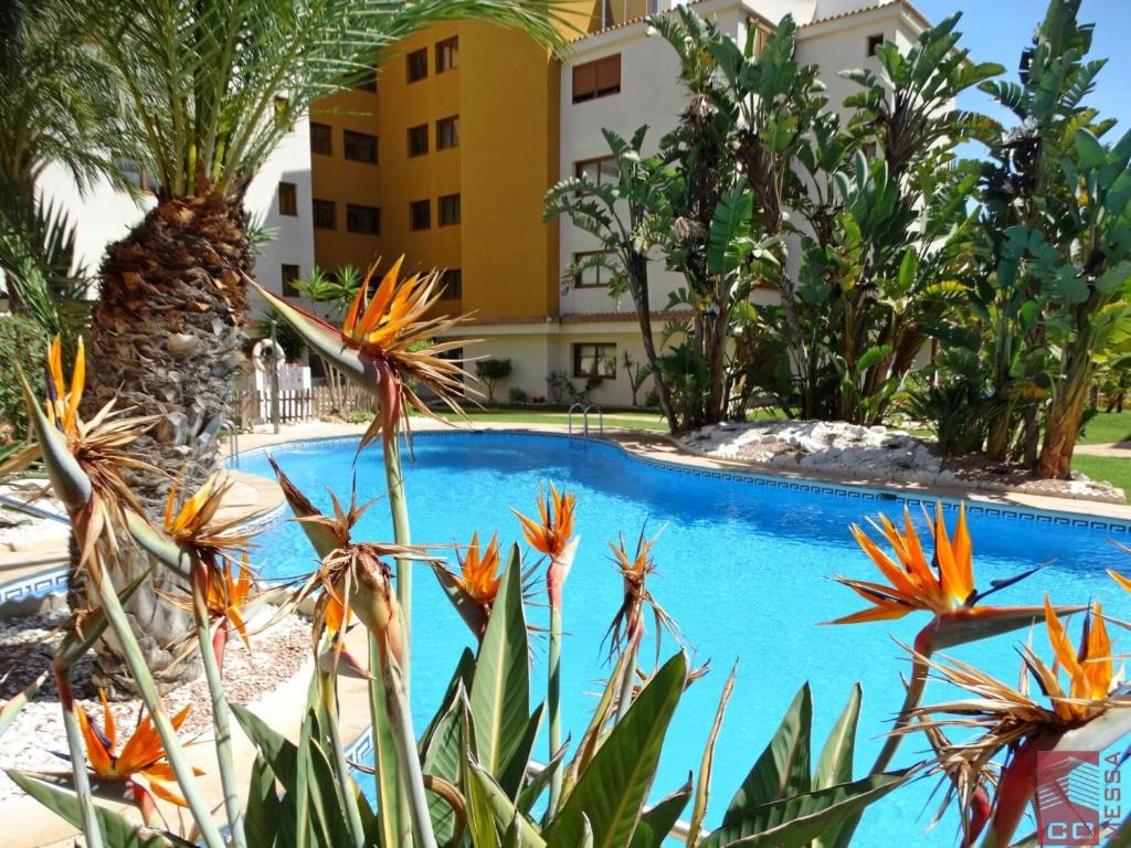 Bazén v ubytovaní Apartamento Eleonor, La Entrada, Punta Prima, Torrevieja alebo v jeho blízkosti