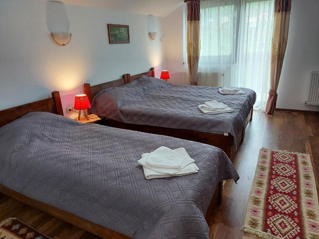 Postel nebo postele na pokoji v ubytování Pensiunea Albina