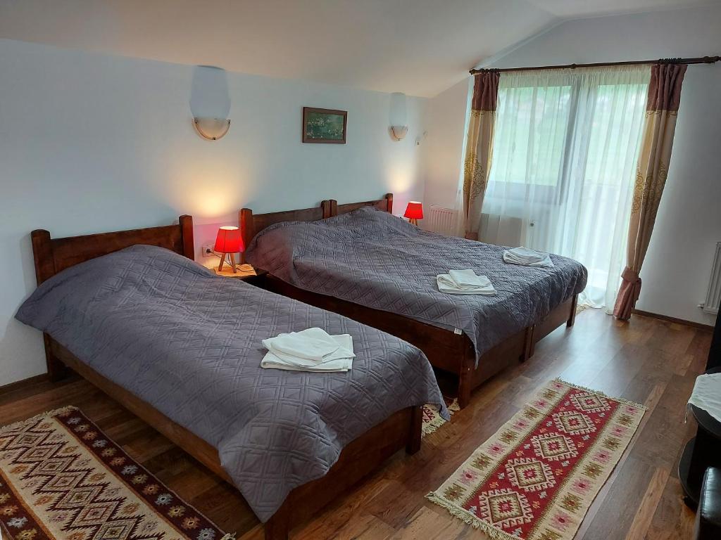 Postel nebo postele na pokoji v ubytování Pensiunea Albina