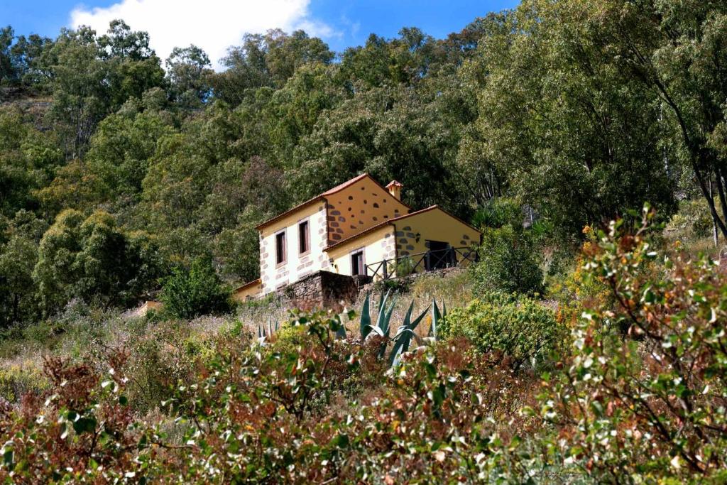 a small house in the middle of a field at Casa Rural Las Caldereras in Teror