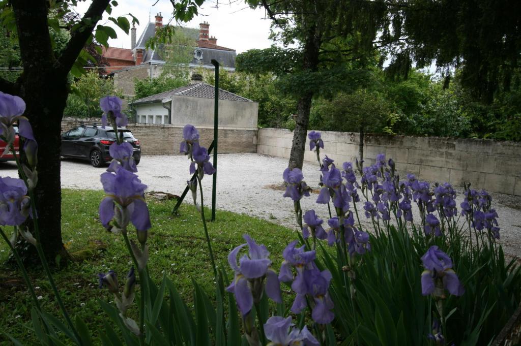 Zahrada ubytování Hôtel Le Picardy