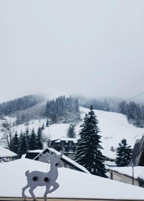Zlatar duplex v zimě