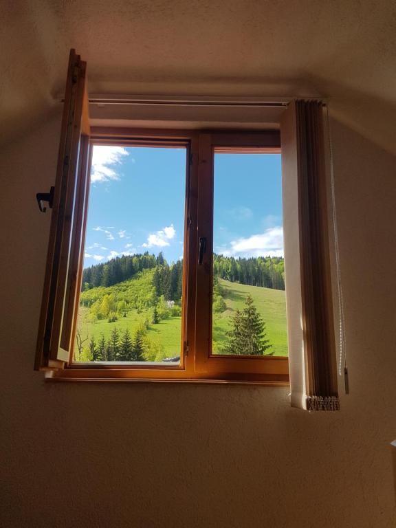 Příroda nedaleko apartmánu