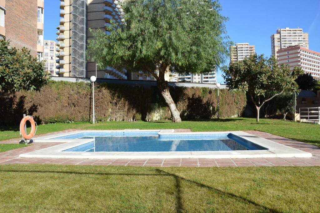 ein Schwimmbad in einem Park mit einem Baum und Gebäuden in der Unterkunft Apto with pool Gemelos IV in Benidorm