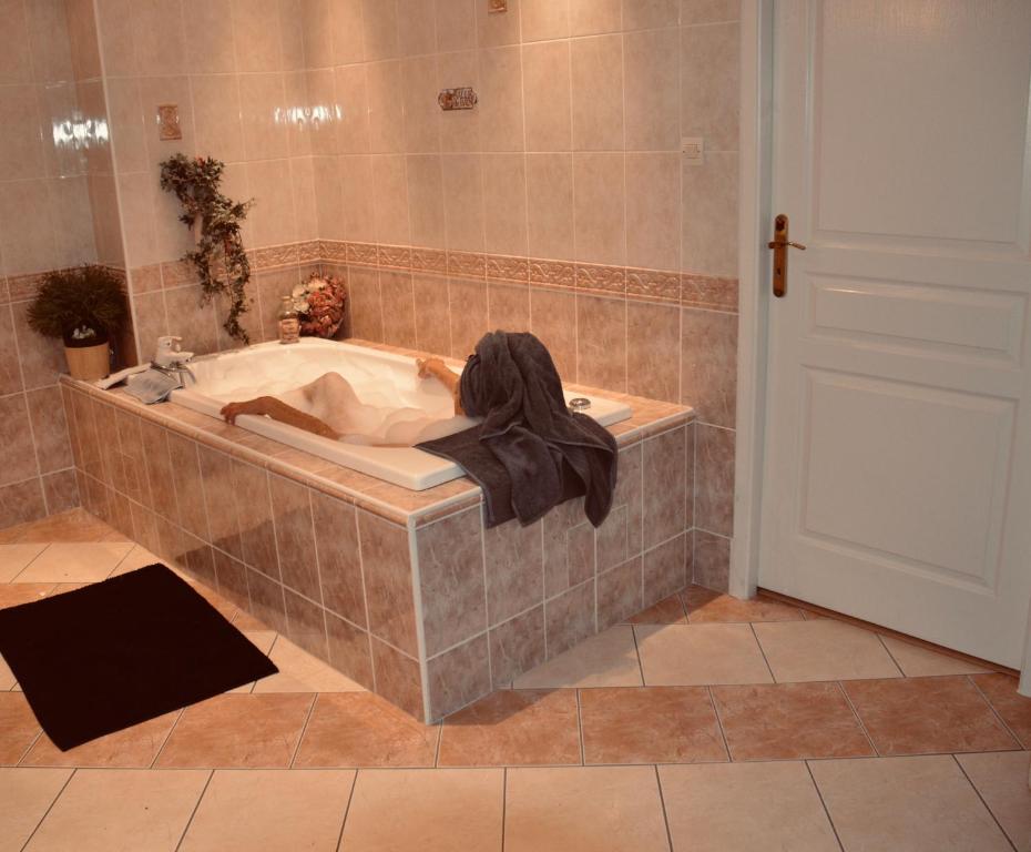 Phòng tắm tại Villa Sainte Barbe