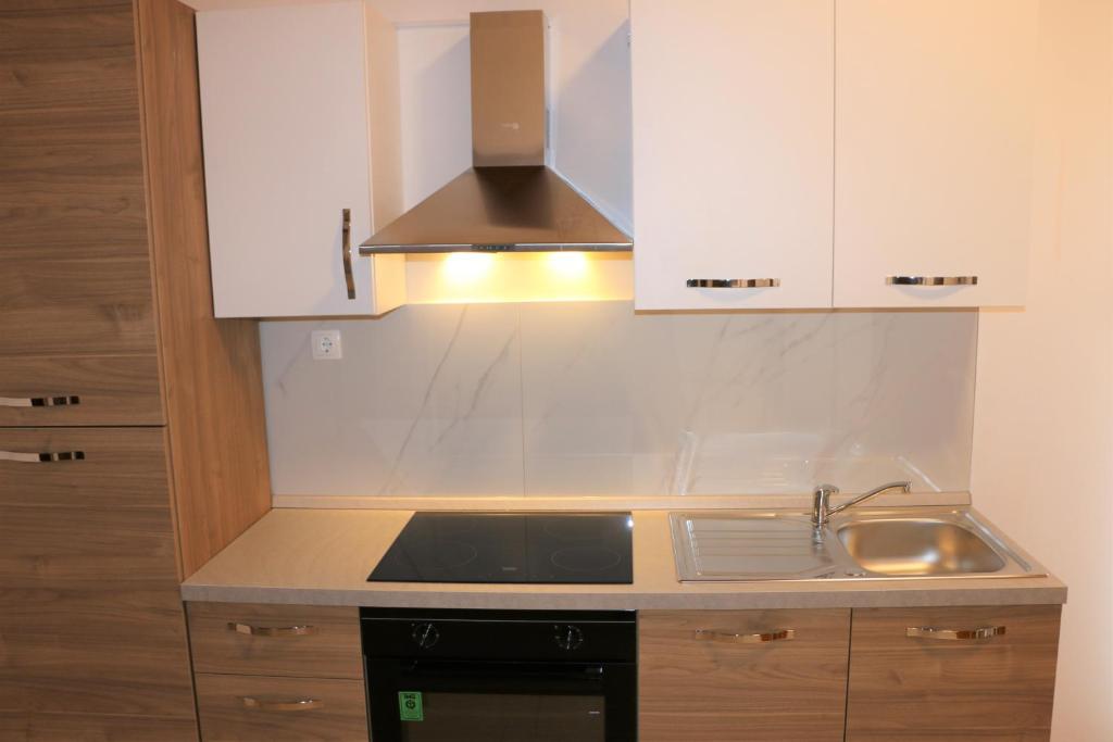Kuchyň nebo kuchyňský kout v ubytování Apartment Grgas-Tucilo
