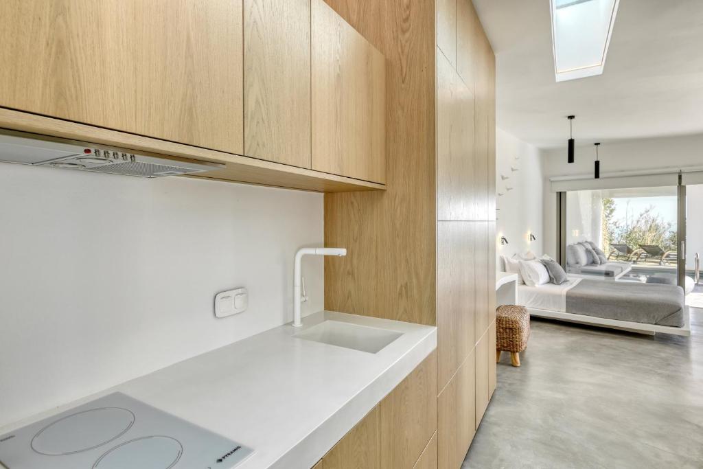 Kuchyň nebo kuchyňský kout v ubytování Tinos Dove Suites
