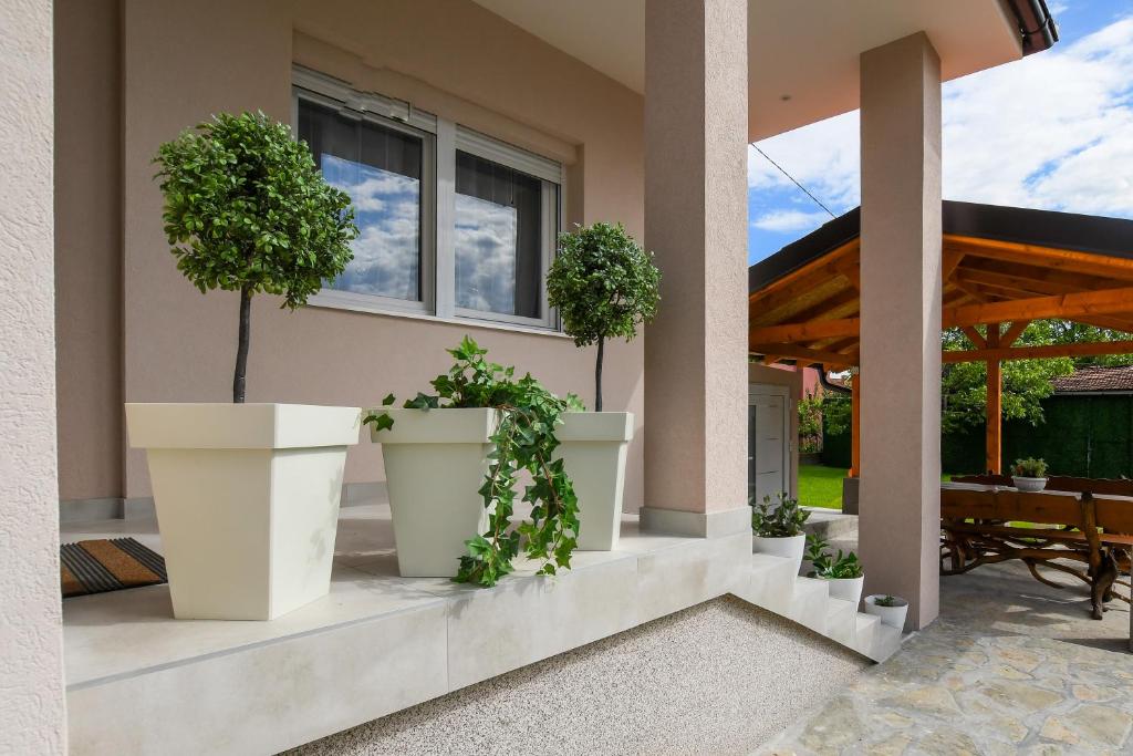 Zahrada ubytování Oasis House