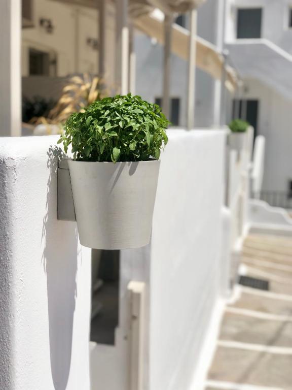 Fotografia z galérie ubytovania Galanis Sweet Home Milos v destinácii Adamas