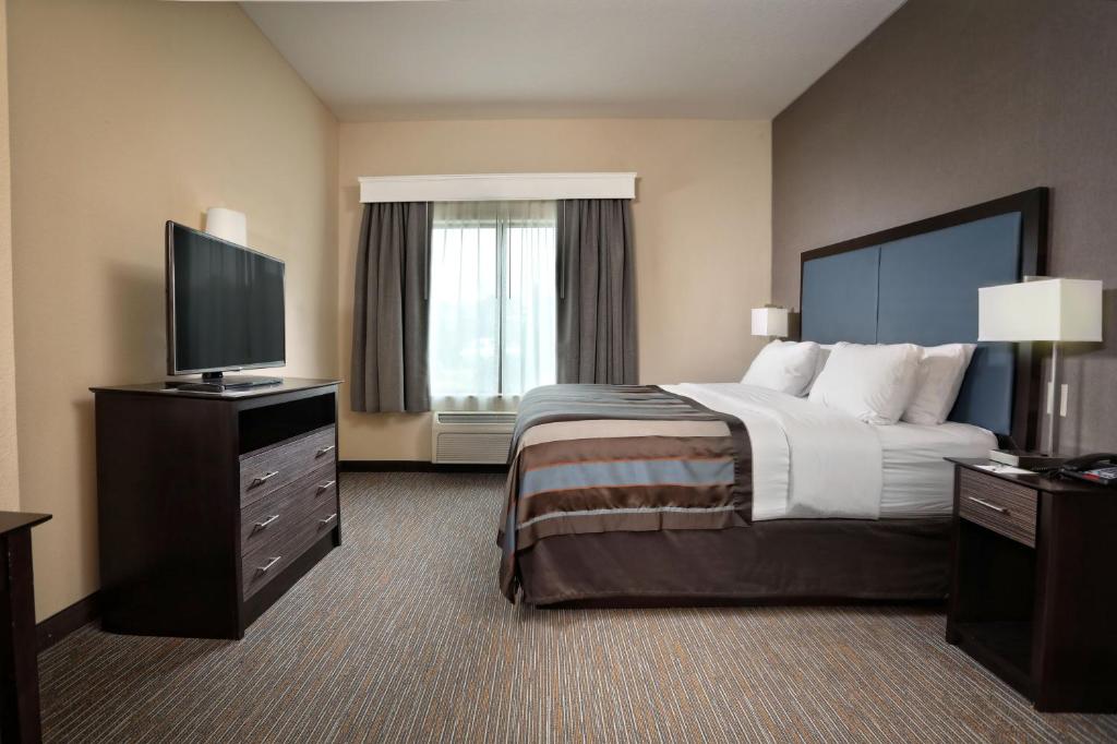 Wingate by Wyndham Savannah Pooler - King Room - Non-Smoking
