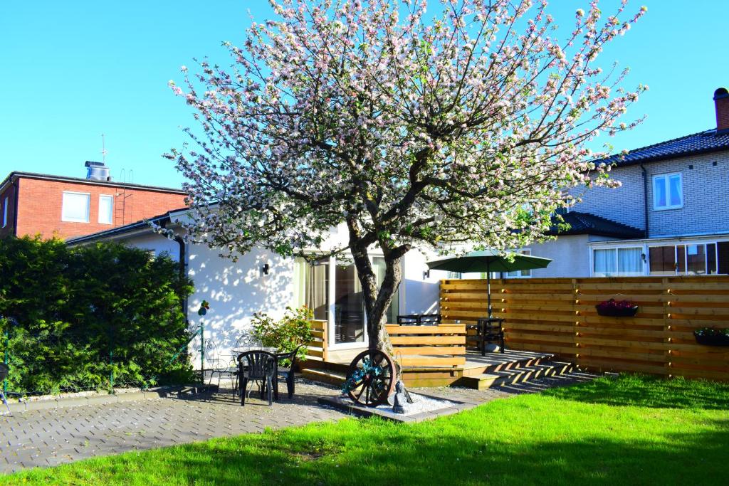 a yard with a tree and chairs and a fence at Villa Enigma in Halmstad