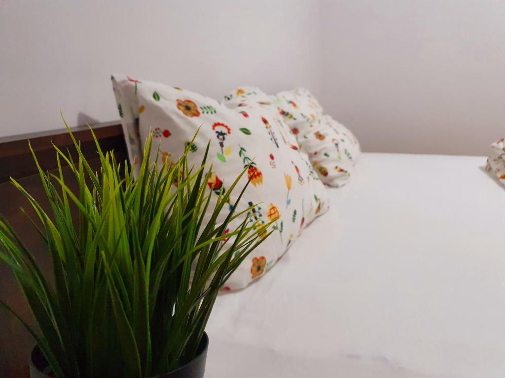 a bed with pillows and a potted plant on it at Pensiunea Casa Blanca in Sulina