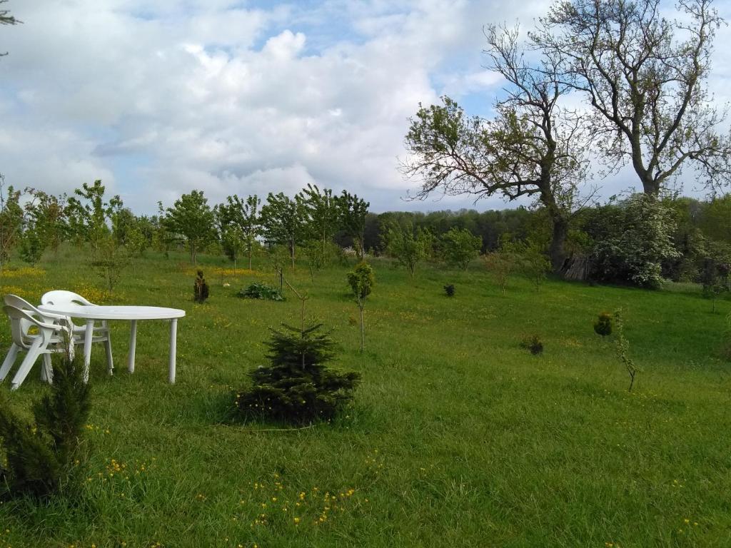 Příroda nedaleko luxury tent