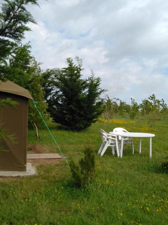 Zahrada ubytování la tente du commandant français 1954 pour nuit insolite