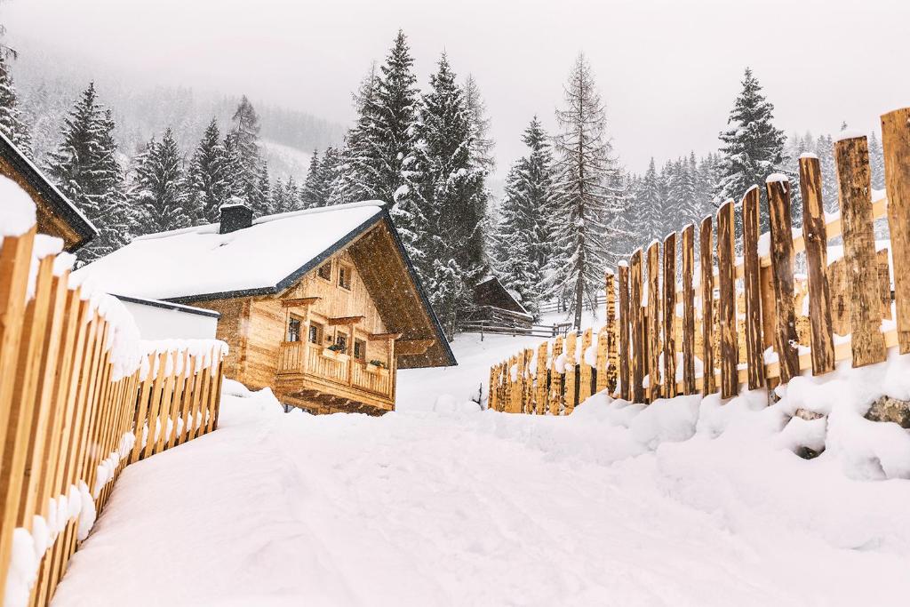 Bergseegut Chalet und Apartment v zime