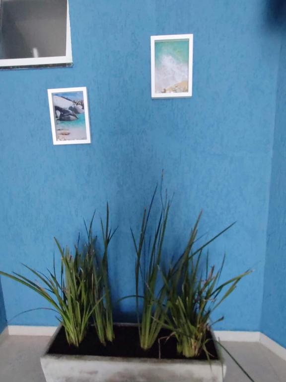 Pousada Vistazul - Pé na Areia - Suite