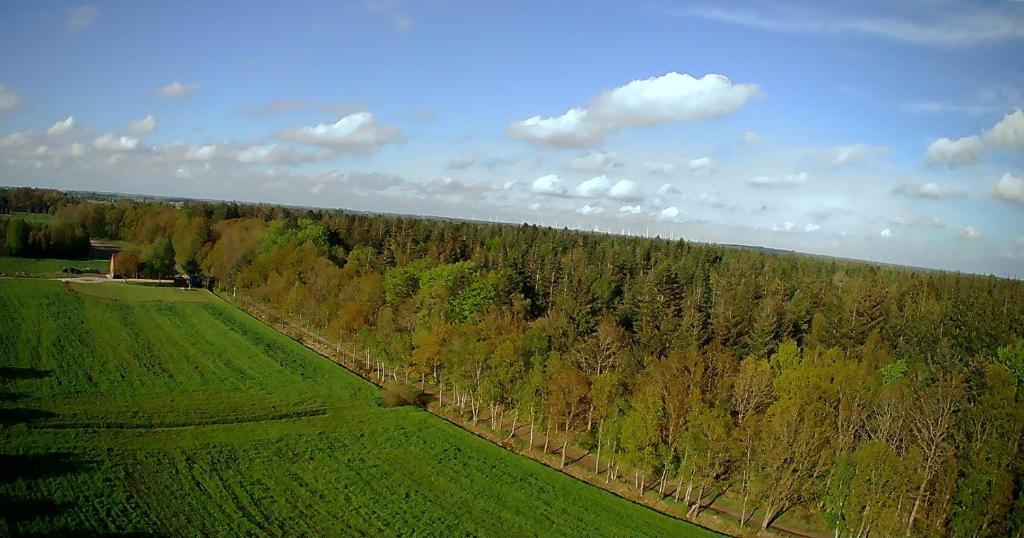 Příroda nedaleko apartmánu