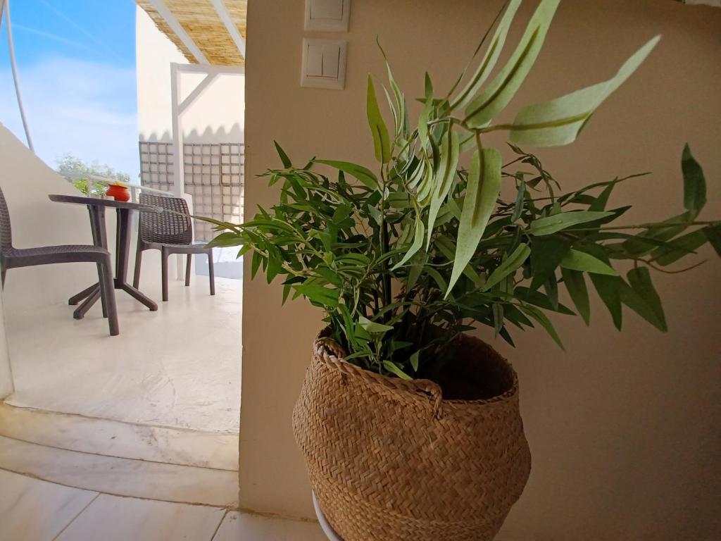 Balkón nebo terasa v ubytování Koukounari 2 Rooms