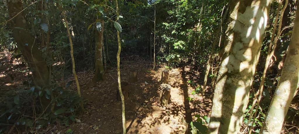  Recanto dos Ingás