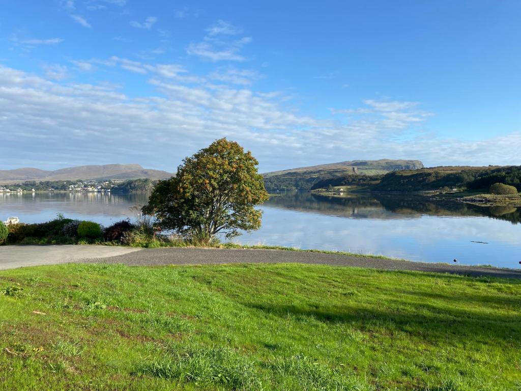 a lake with a tree in the middle of a field at Scorr House Apartment in Portree