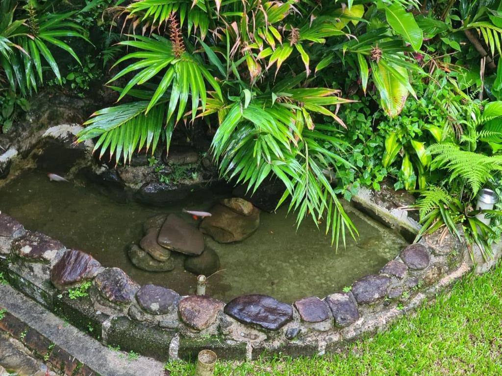  Casa Ampla com Piscina e Piscina Natural.