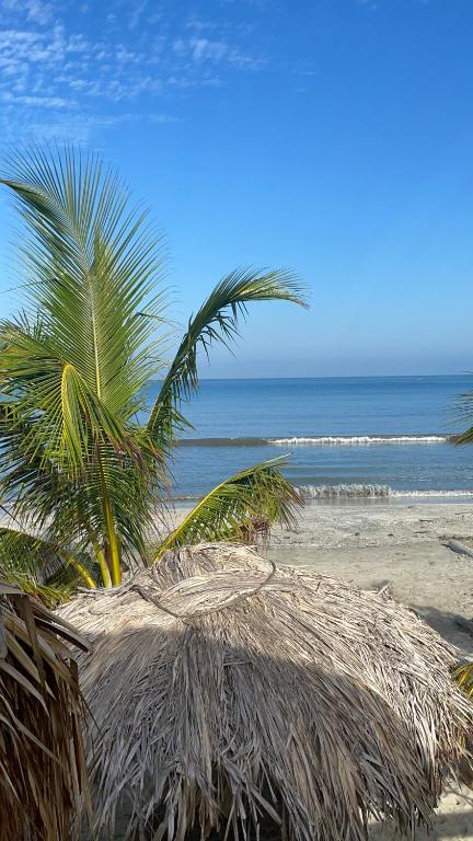 Glamping UVA Playa