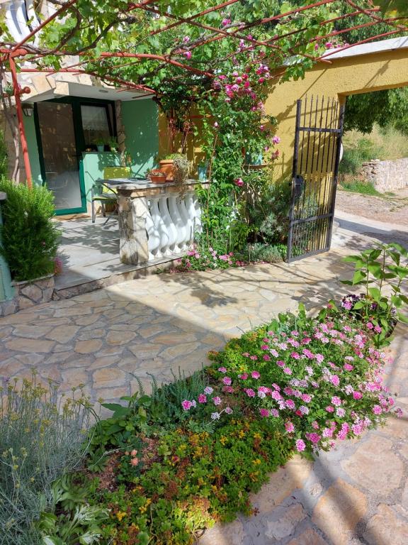 Apartment Balinovaca - 2