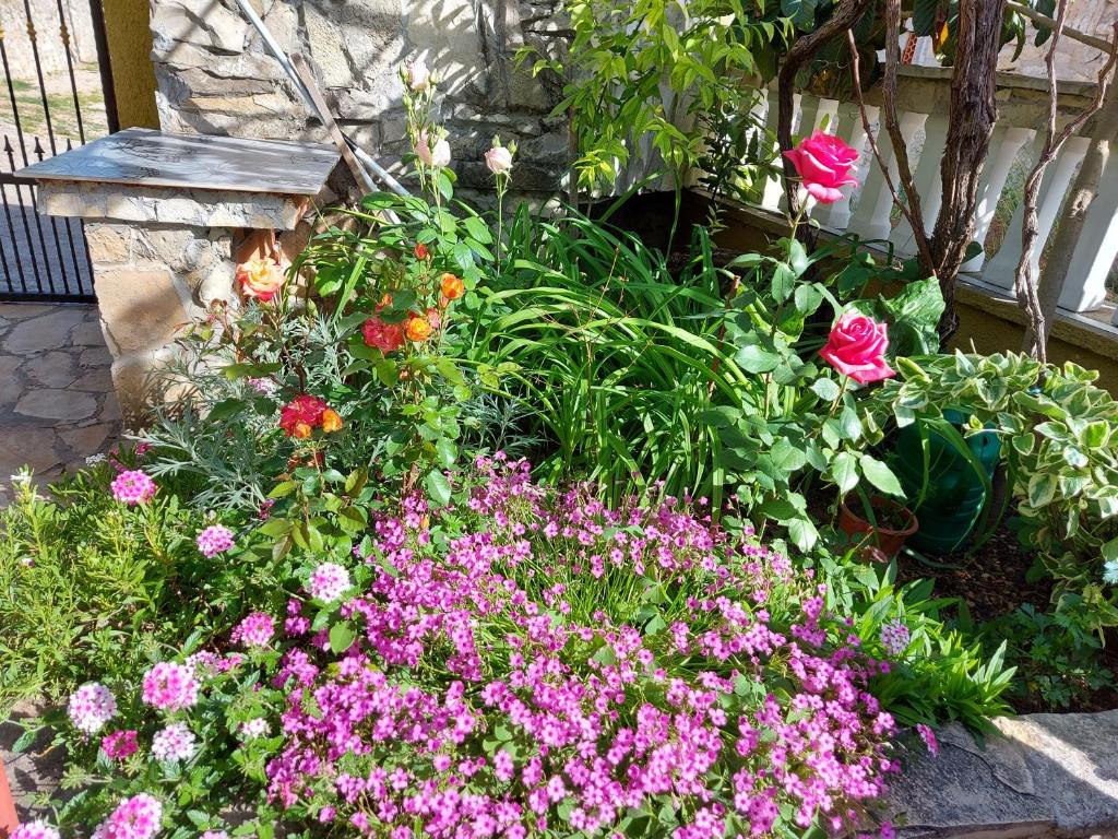 Apartment Balinovaca - 3