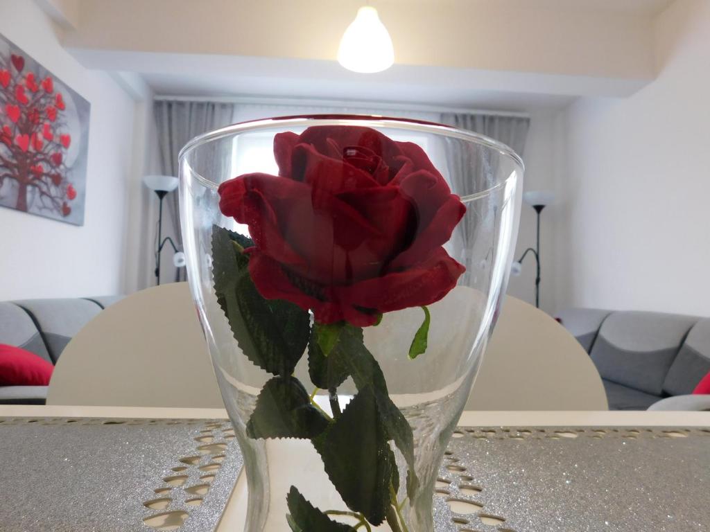 Apartamenty Niko - 4